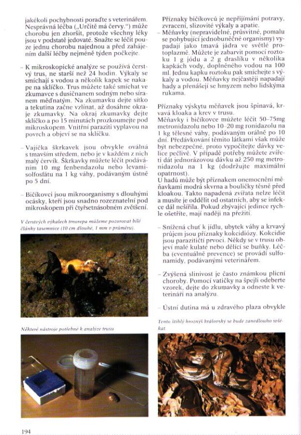 Eugéne Bruins: ENCYKLOPEDIE - TERARISTIKA