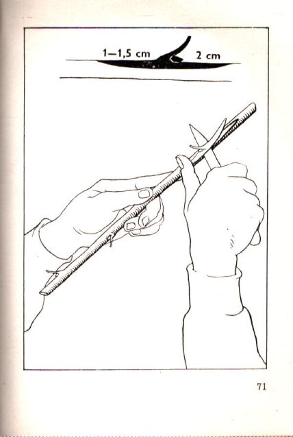 Jozef Luža: ŠKOLA MLADÉHO OVOCNÁŘE