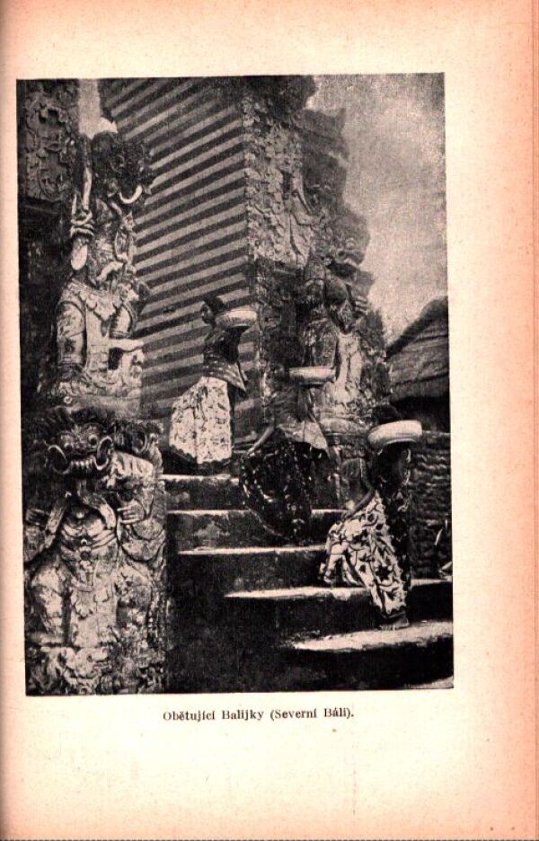 R. Cicvárek: HOLANDSKÁ VÝCHODNÍ INDIE