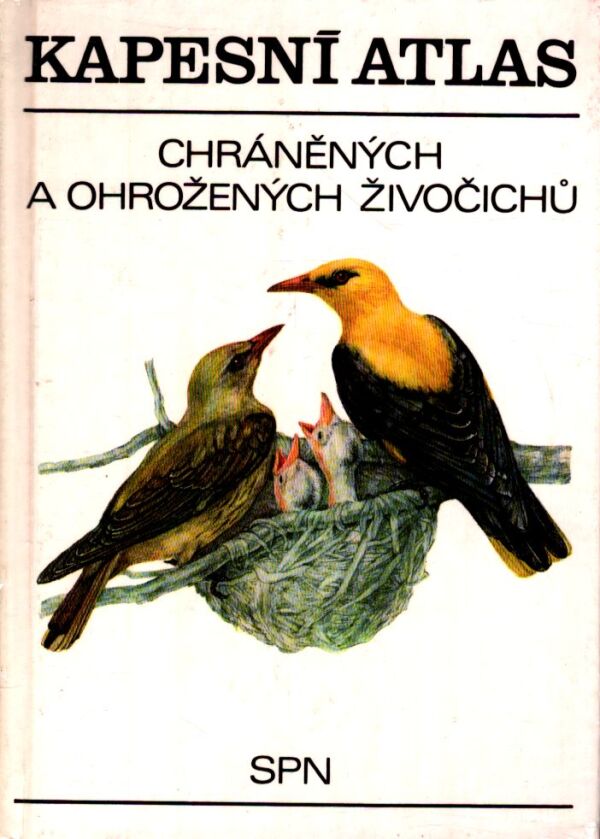 P. Pecina, A. Čepická: