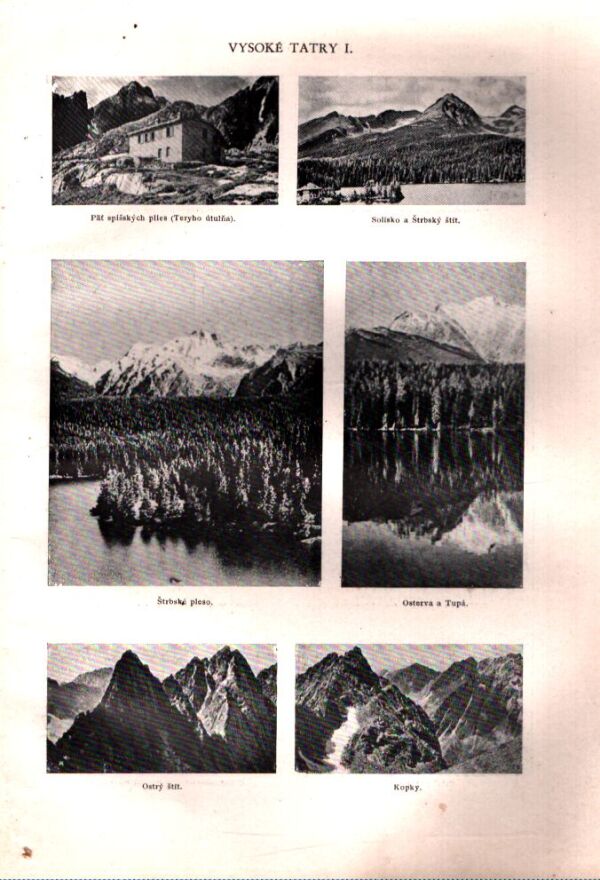 SLOVENSKÝ NÁUČNÝ SLOVNÍK III.