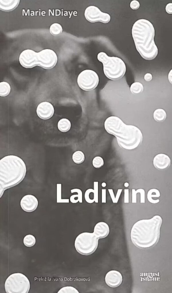 Marie NDiaye: LADIVINE