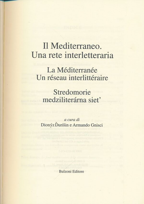 Dionýz Ďurišin, Armando Gnisci: Stredomorie medziliterárna sieť