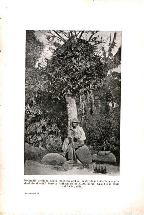 Josef Kořenský: AMERIKA