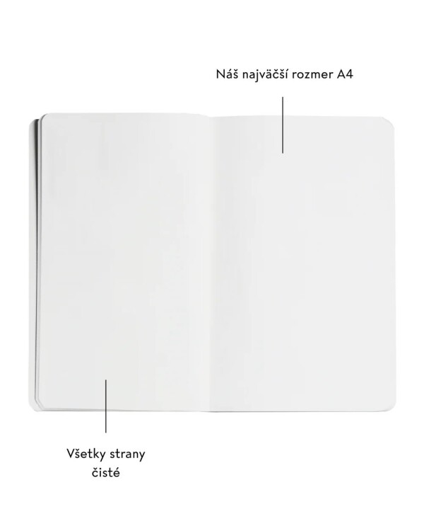 Žurnál: SKICÁR - SIVÁ