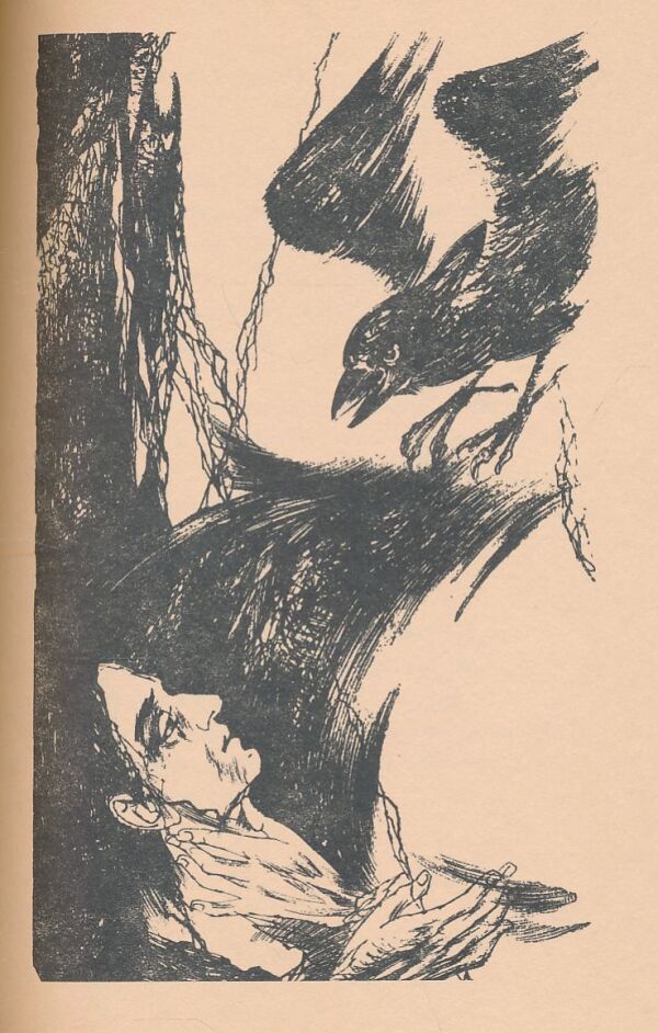 Edgar Allan Poe: HAVRAN