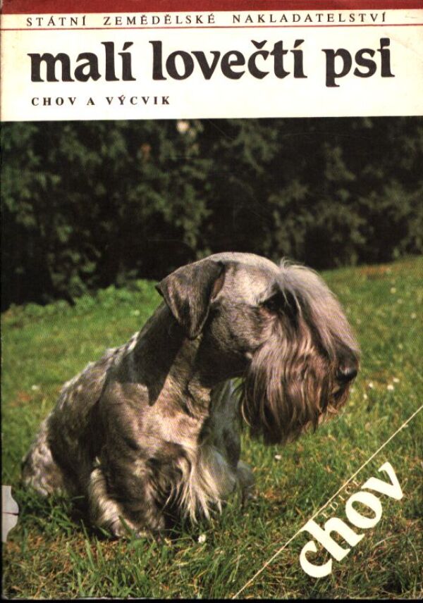 MALÍ LOVEČTÍ PSI
