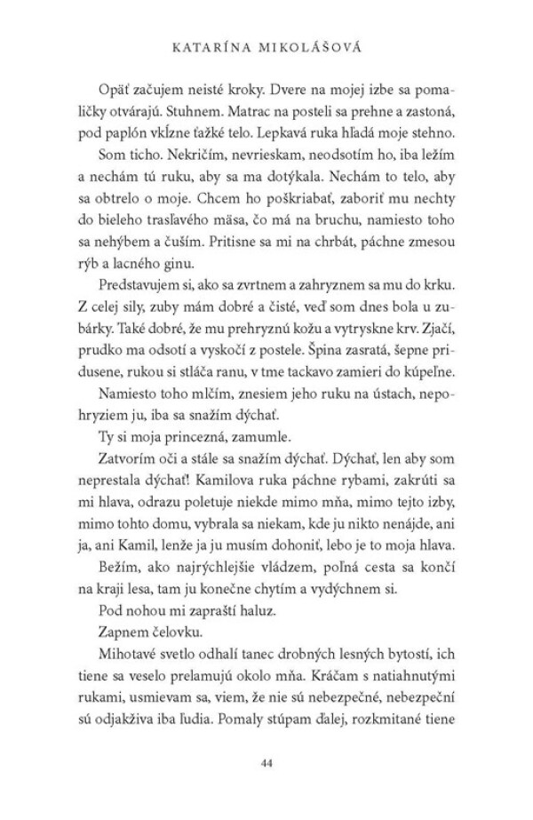 Katarína Mikolášová: HUS VO VEĽKOMESTE