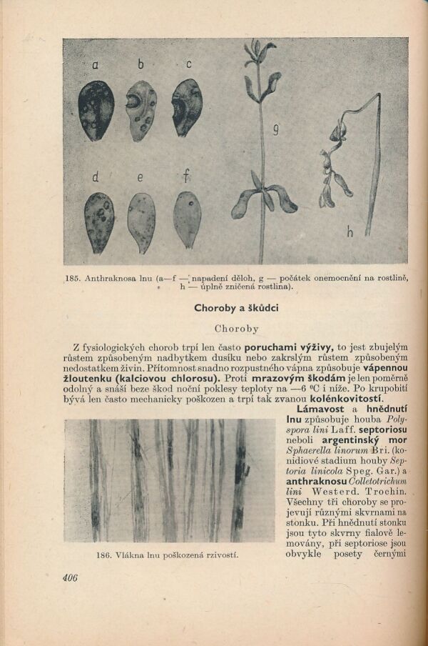 Praktická agrotechnika