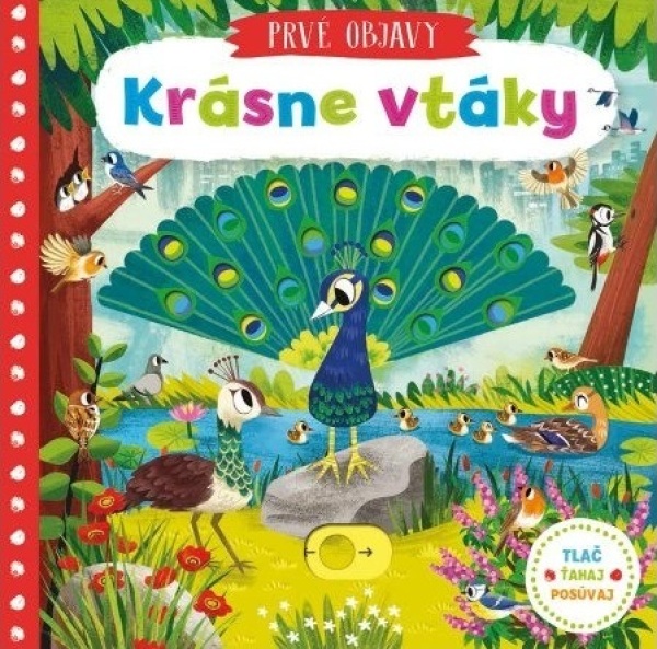 PRVÉ OBJAVY - KRÁSNE VTÁKY