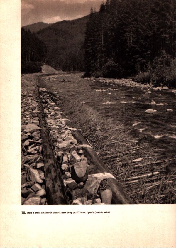 S. Dyková, V. Dyk: SVET BYSTRÍN A HORSKÝCH RIEK